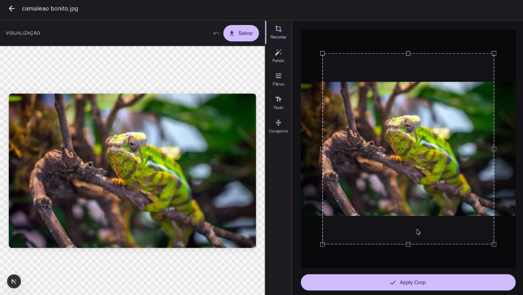 Photo Editor preview